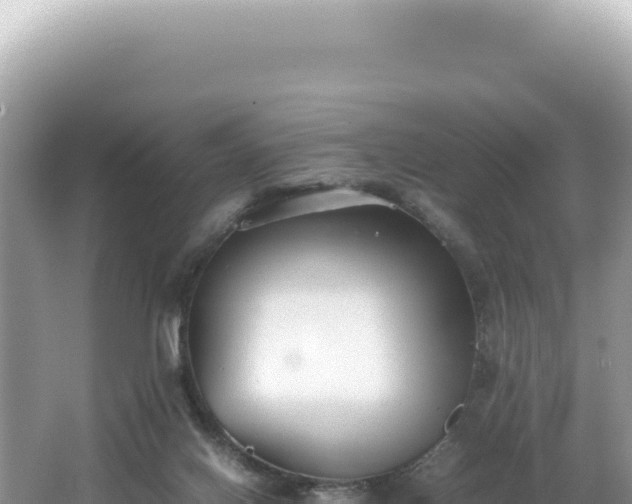 X0000062150070200512121319