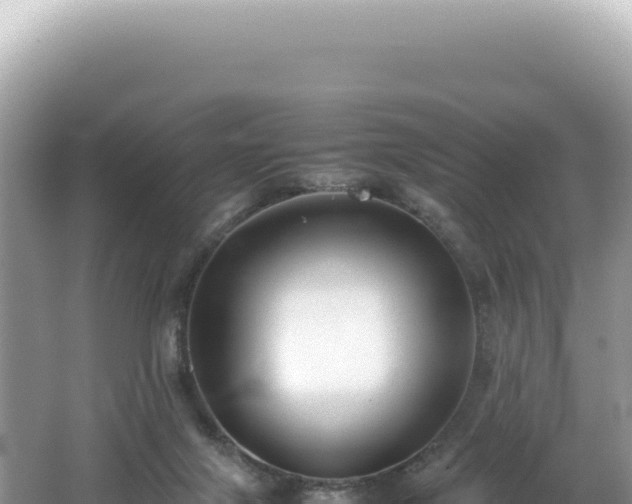 X0000062150071200512121319