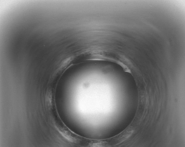 X0000062150072200512121319