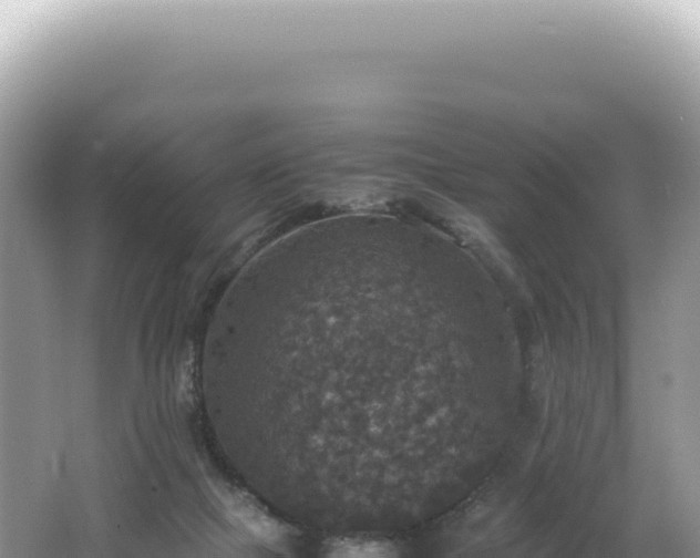 X0000062150073200512121319