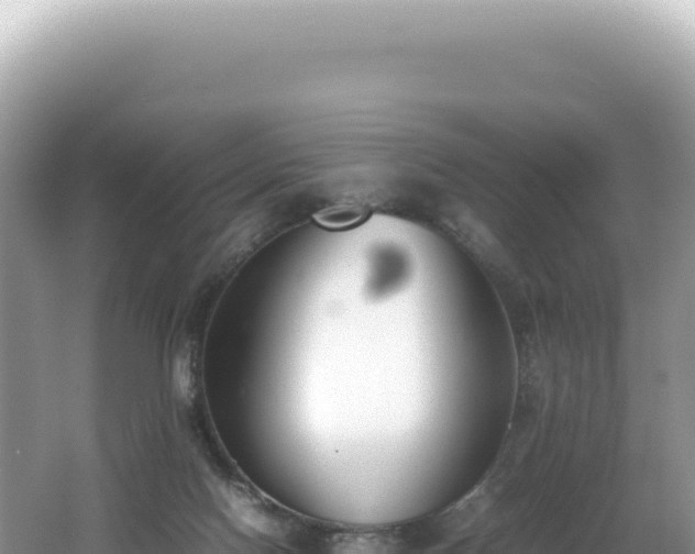 X0000062150074200512121319