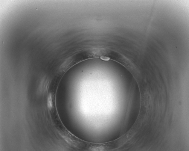 X0000062150075200512121319