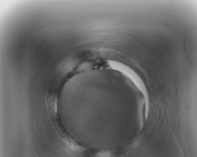 X0000062150076200512121319