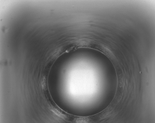 X0000062150077200512121319