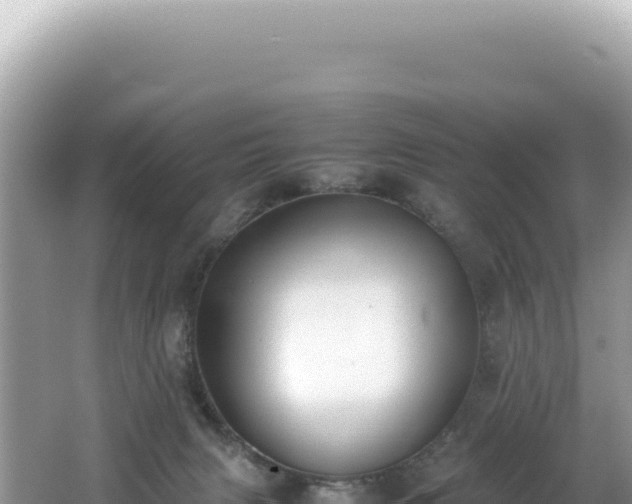 X0000062150079200512121319