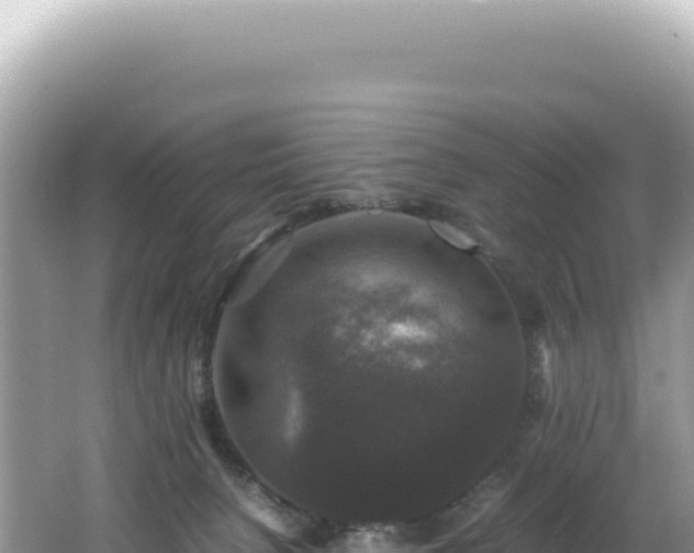 X0000062150080200512121319