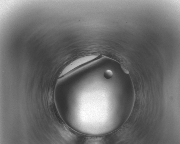 X0000062150081200512121319