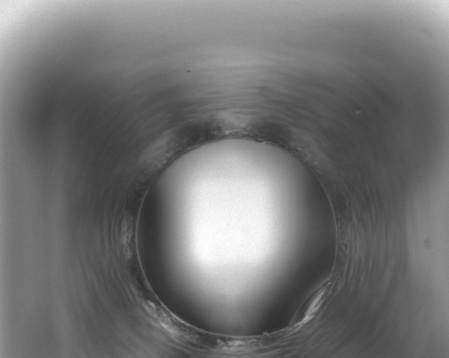 X0000062150082200512121319