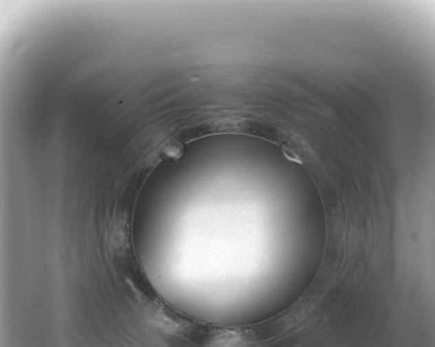 X0000062150083200512121319