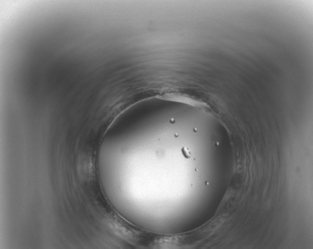 X0000062150084200512121319