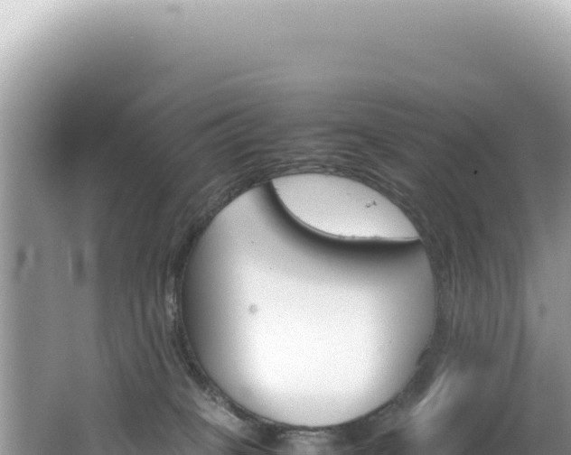 X0000062150085200512121319