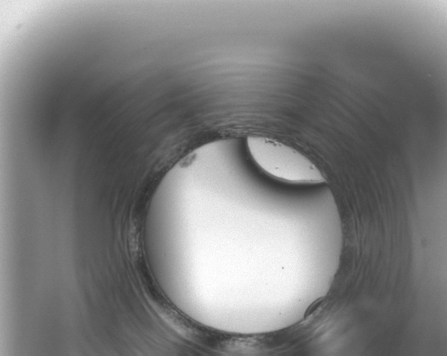 X0000062150086200512121319