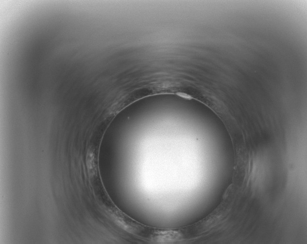 X0000062150087200512121319