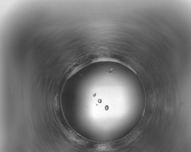 X0000062150088200512121319