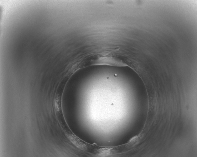 X0000062150090200512121319