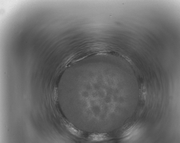 X0000062150093200512121319