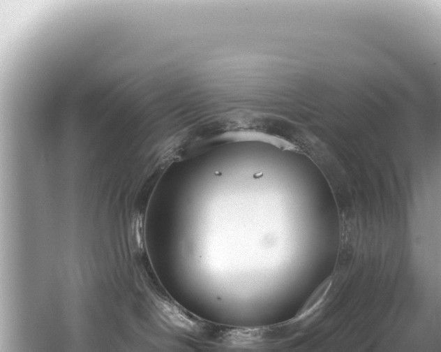 X0000062150094200512121319