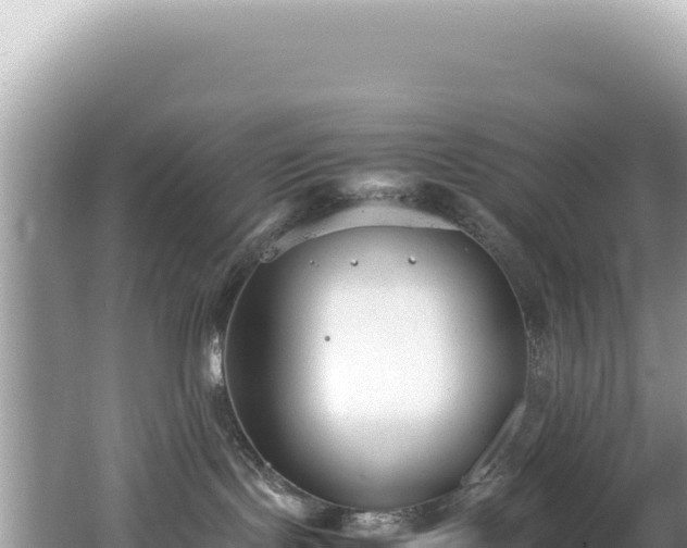 X0000062150095200512121319