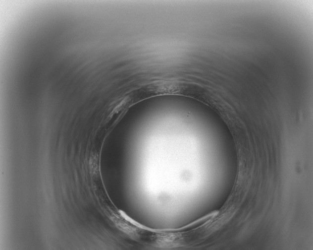 X0000062150096200512121319