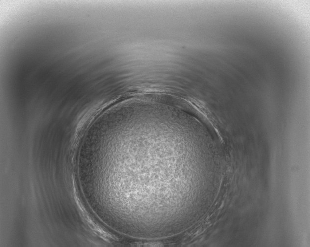 X0000062150097200512121318