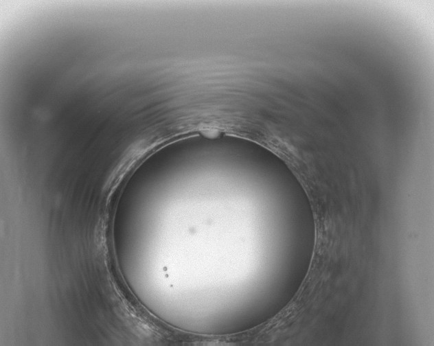 X0000062150098200512121318