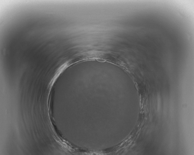 X0000062150099200512121318