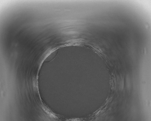 X0000062150100200512121318