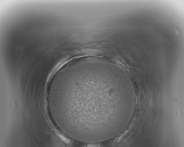 X0000062150101200512121318