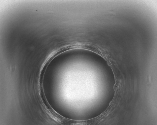 X0000062150102200512121318