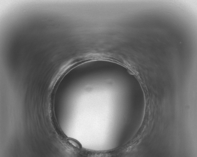 X0000062150103200512121318