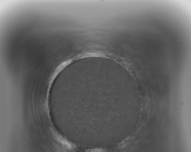 X0000062150104200512121318