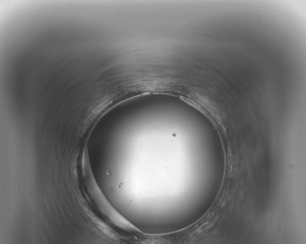 X0000062150105200512121318