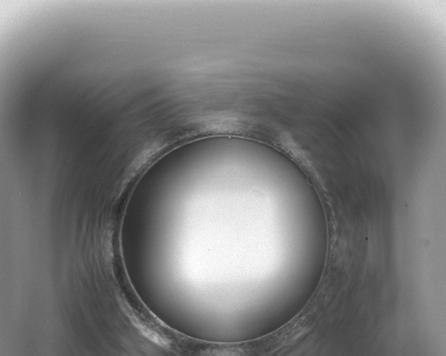 X0000062150106200512121318