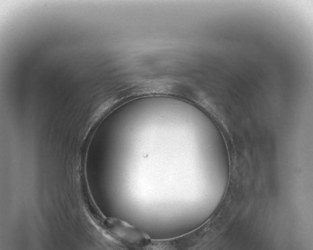 X0000062150107200512121318