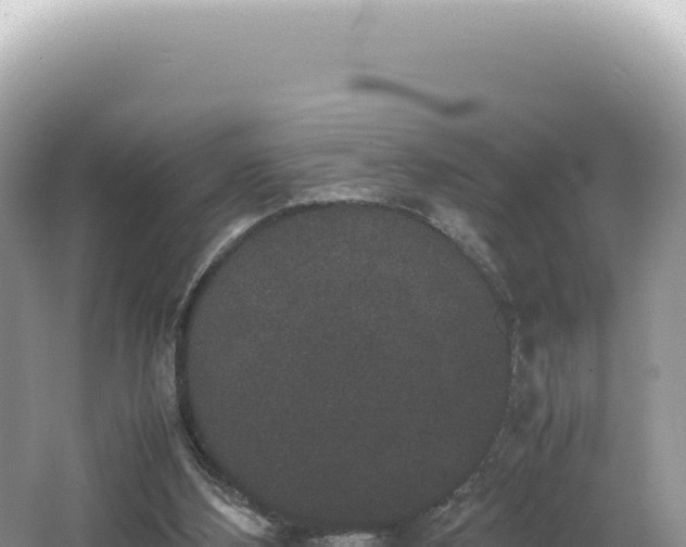 X0000062150108200512121318