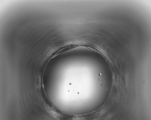 X0000062150109200512121318