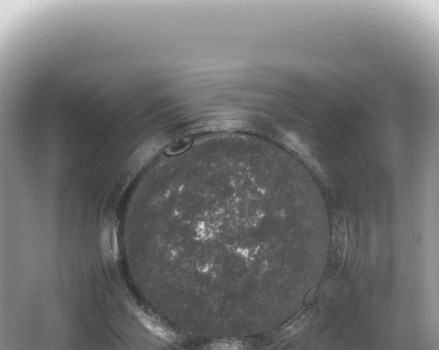 X0000062150110200512121318