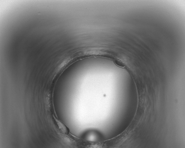 X0000062150111200512121318