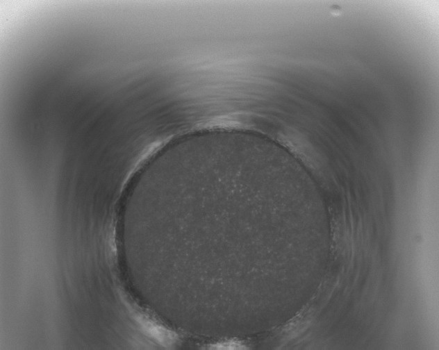 X0000062150112200512121318