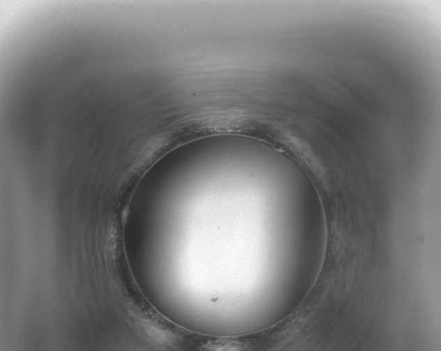 X0000062150113200512121318