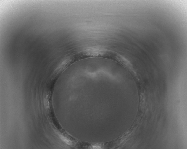 X0000062150114200512121318