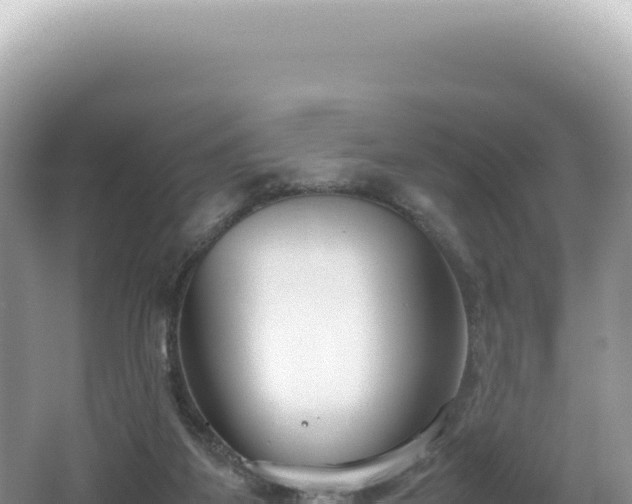 X0000062150115200512121318