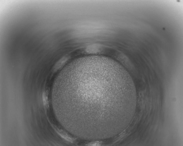 X0000062150116200512121318