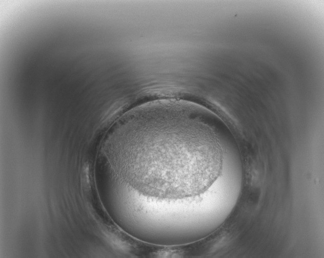 X0000062150117200512121318