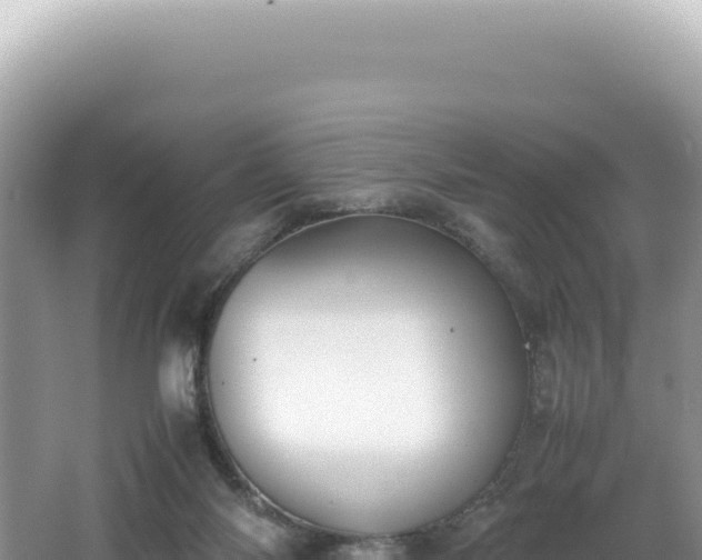 X0000062150118200512121318