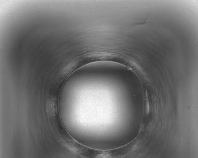 X0000062150119200512121318