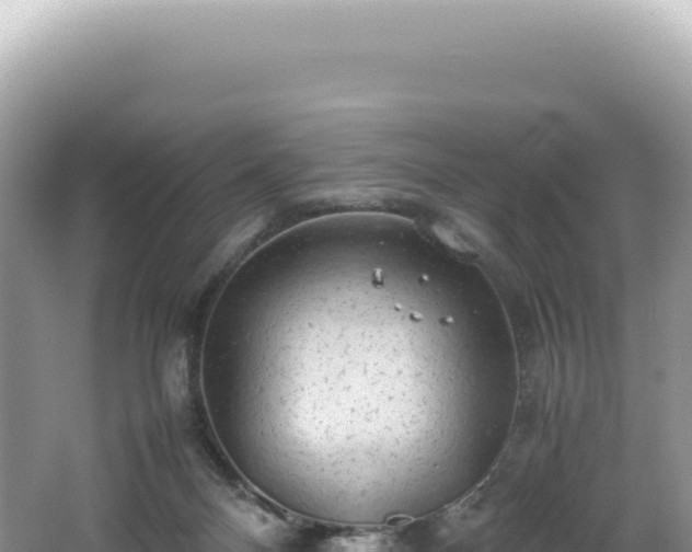 X0000062150120200512121318