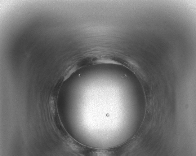 X0000062150121200512121318