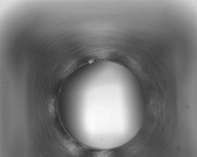 X0000062150122200512121318