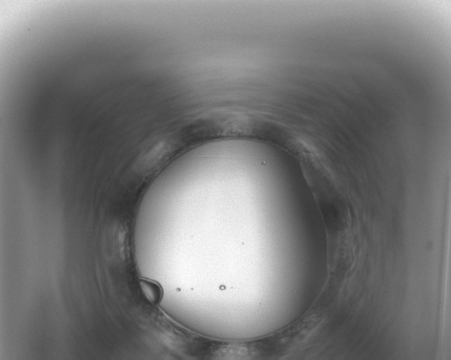 X0000062150123200512121318